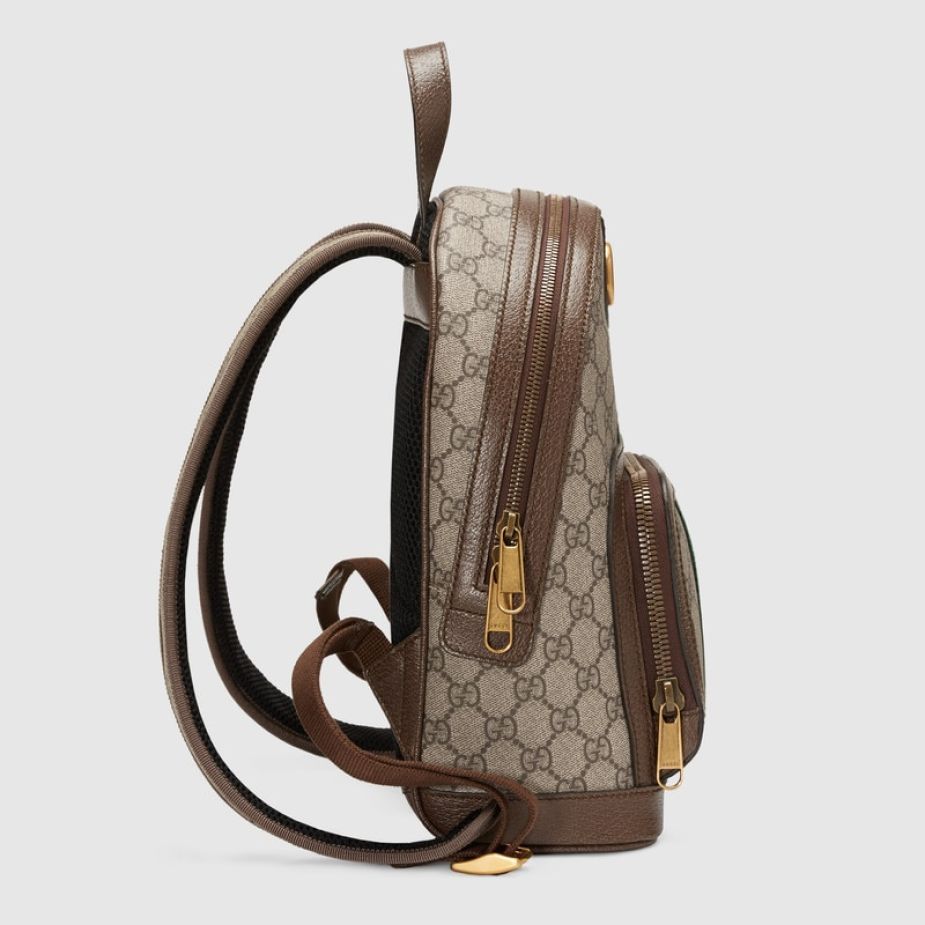 WhatsApp-Image-2021-09-22-at-01.19.33-36a177cf Gucci Ophidia Small Backpack