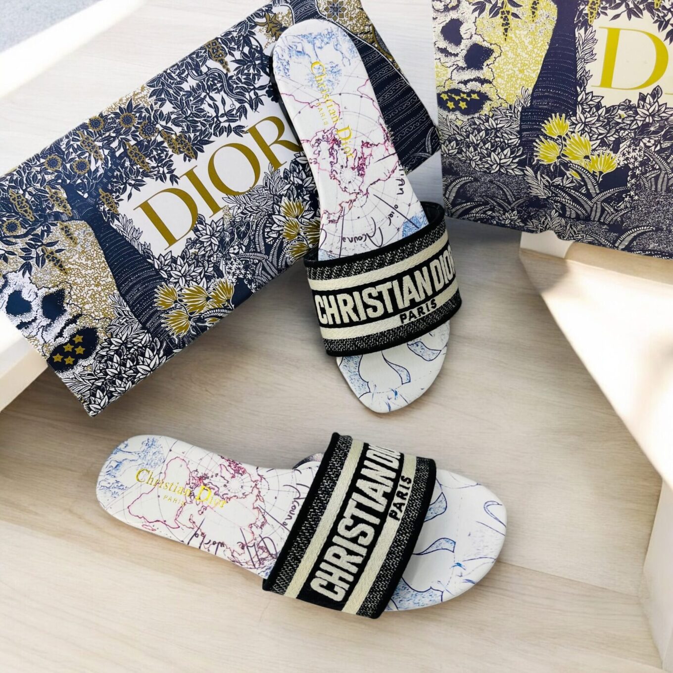 IMG_0965 Christian Dior Earth Dway Slide