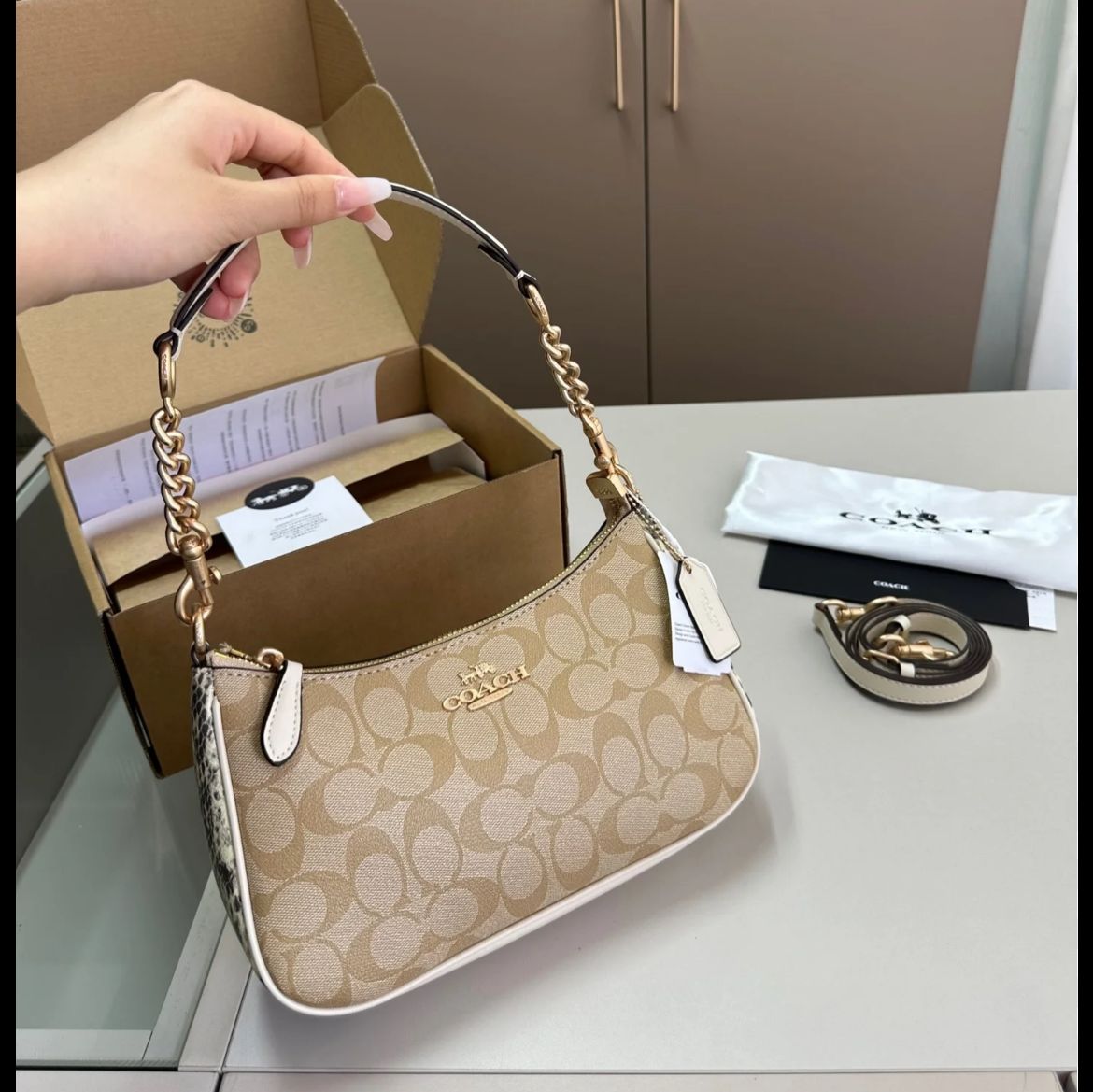 WhatsApp Image 2025-01-28 at 8.25.14 PM Coach Teri Apricot Python Shoulder Bag (With Box)