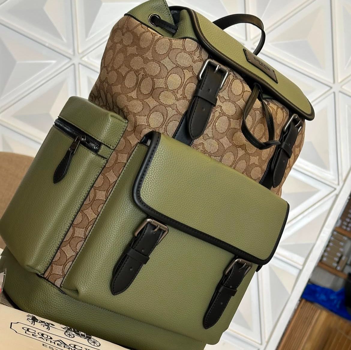 WhatsApp Image 2025-01-31 at 12.46.38 AM Coach Apricot Green Premium Backpack