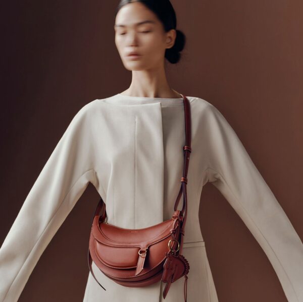 WhatsApp Image 2026-05-06 at 2.41.48 PM (1) Polene Numero Dix Galop Brown Shoulder Bag (With Box)