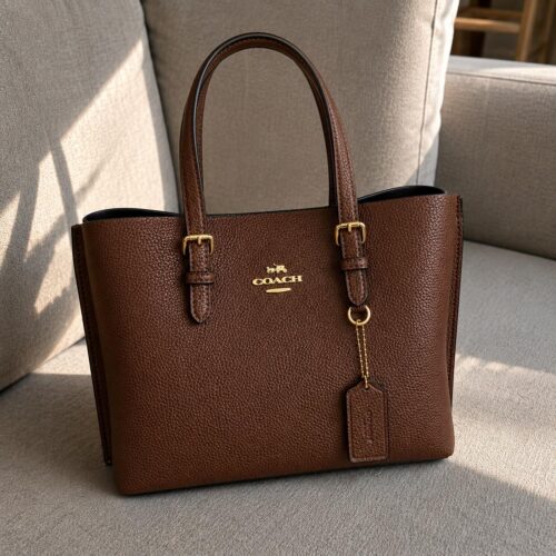 WhatsApp Image 2026-05-18 at 7.58.53 PM Coach Mollie 25 Coffee Tote Bag (With Box)