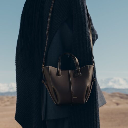 WhatsApp Image 2026-05-19 at 1.57.23 AM Polene Cyme Nano Ebony Color Tote Bag
