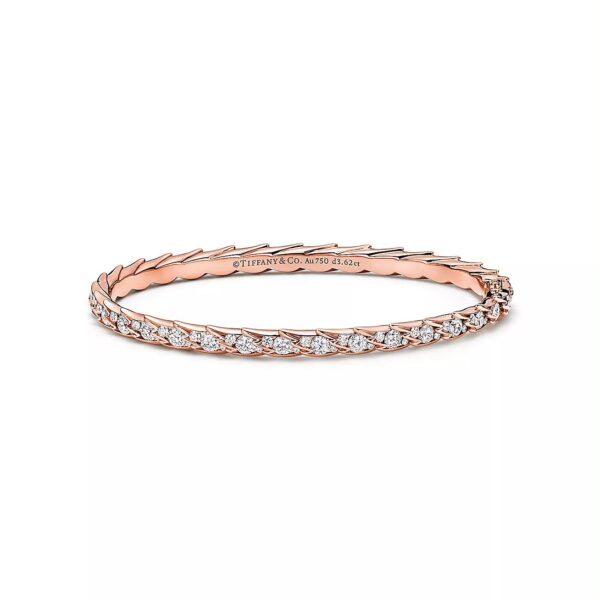 WhatsApp Image 2026-06-03 at 2.29.27 PM Tiffany Bird on a Rock Wings Bangle Bracelet